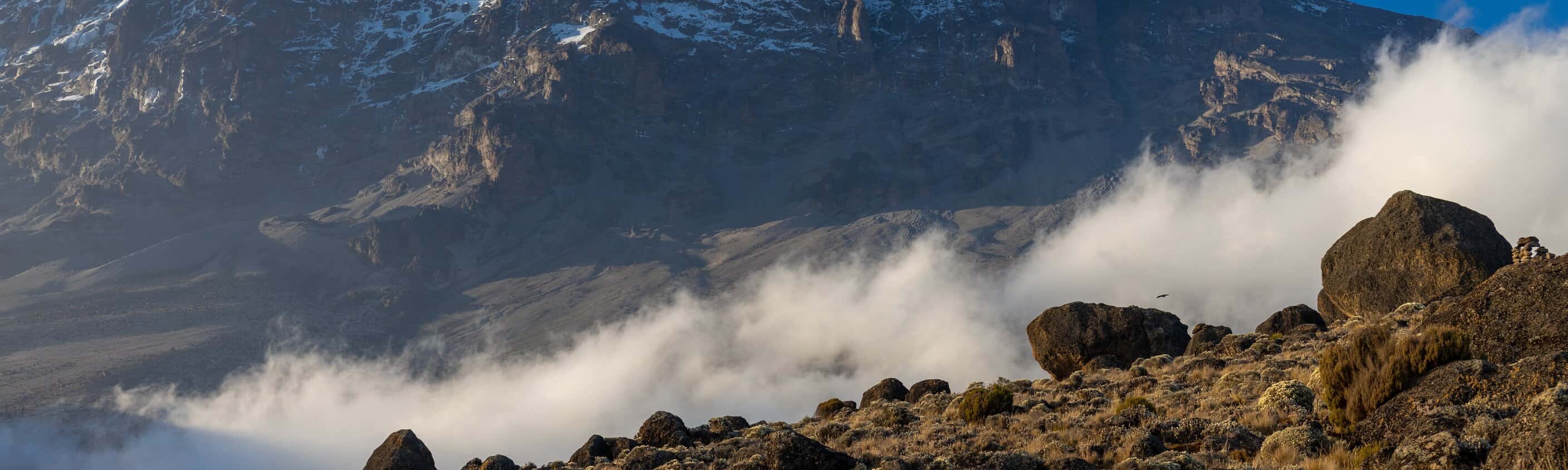 KilimandscharoTrekking über die LemoshoRoute