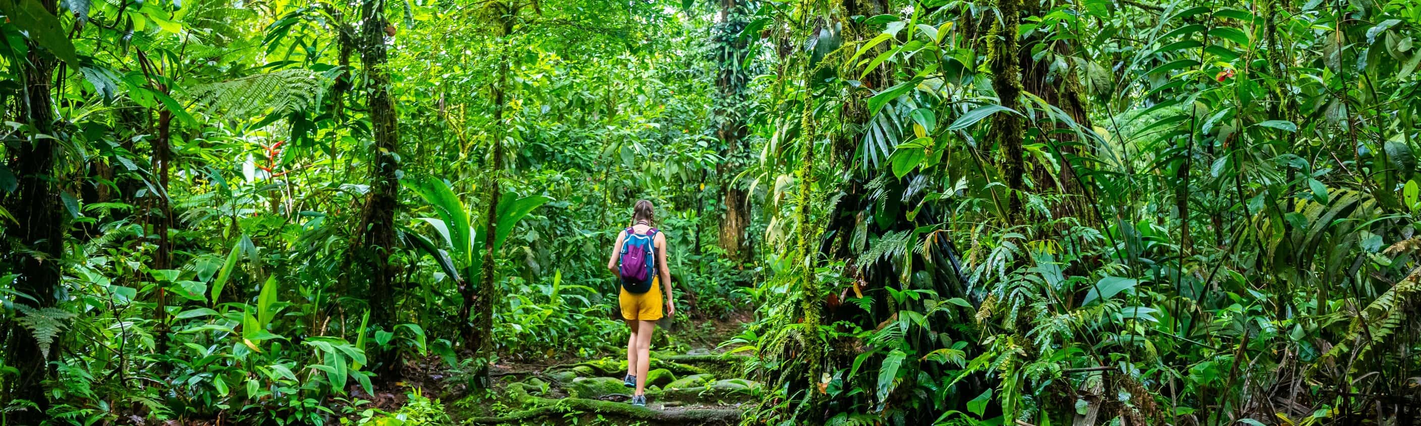 Costa Ricas Highlights erwandern