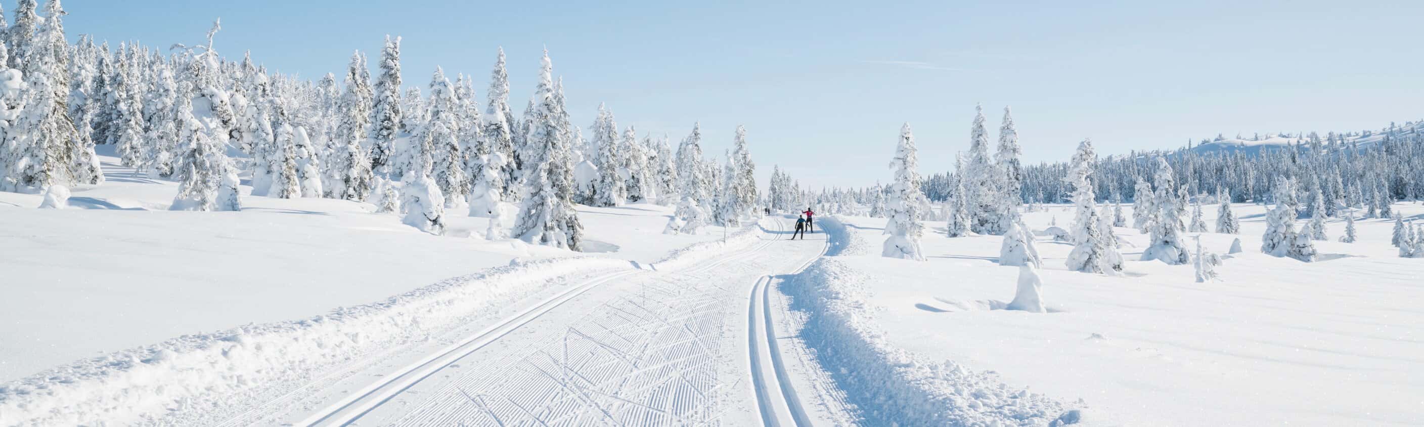 Langlaufwoche auf dem Valdres Trail