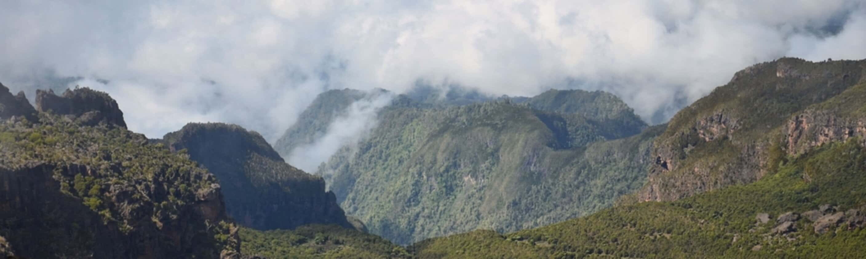 Kilimandscharo-Trekking über die Machame-Route