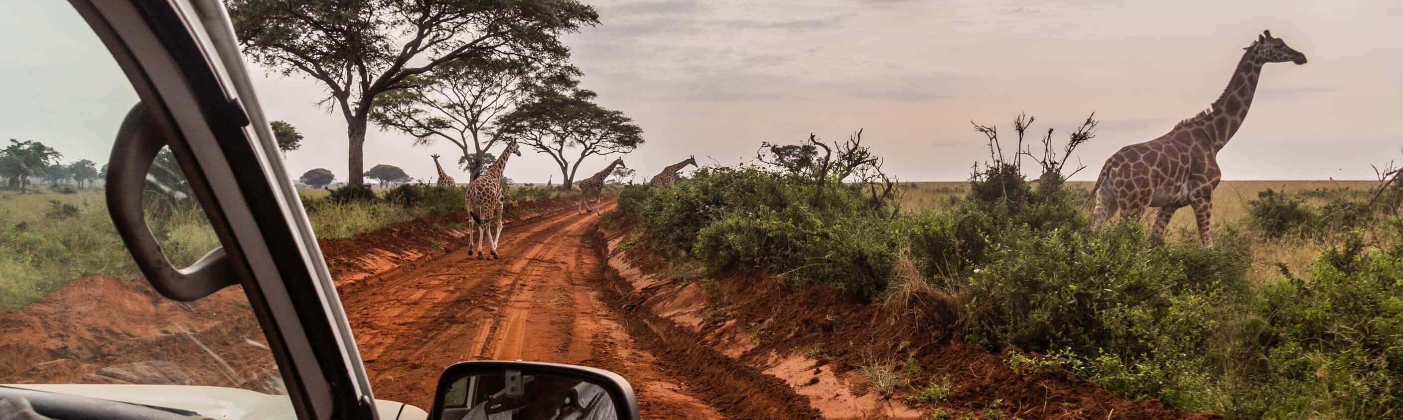 Uganda - Kultur und Tierwelt entdecken