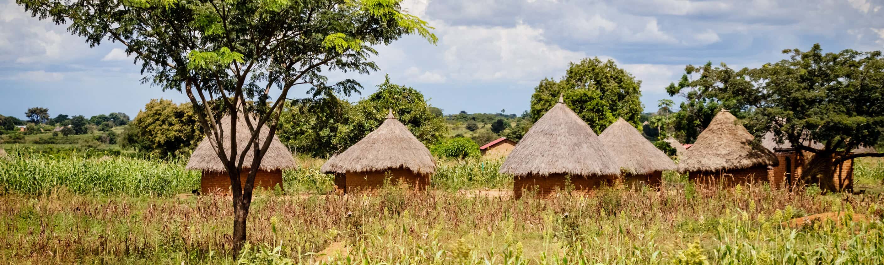 Uganda entdecken: 14 Tage Wildtiere und Community-Trails