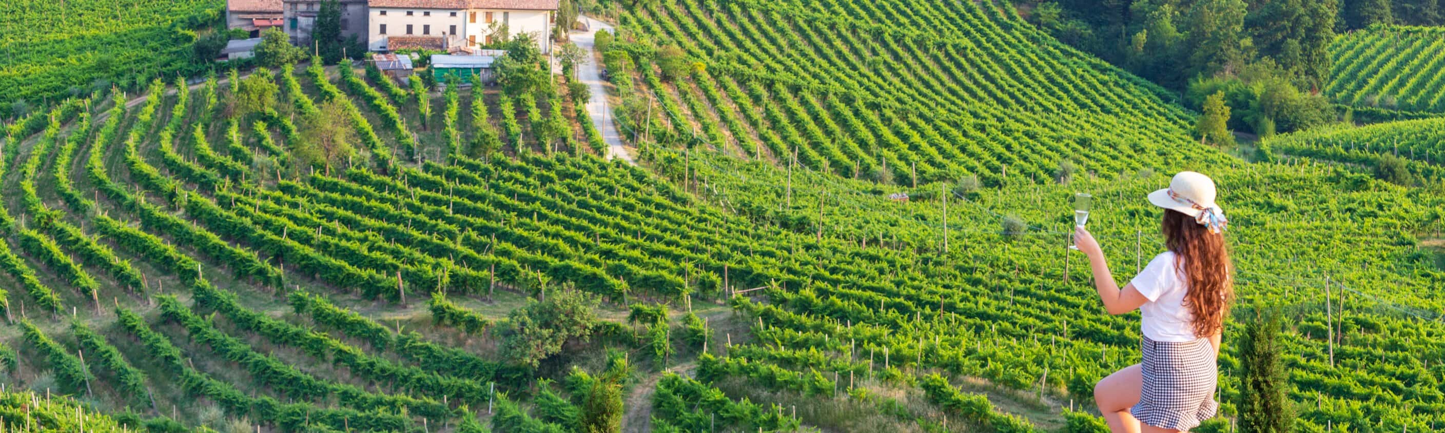 Weinberg Prosecco Valdobbiadene | © Shutterstock