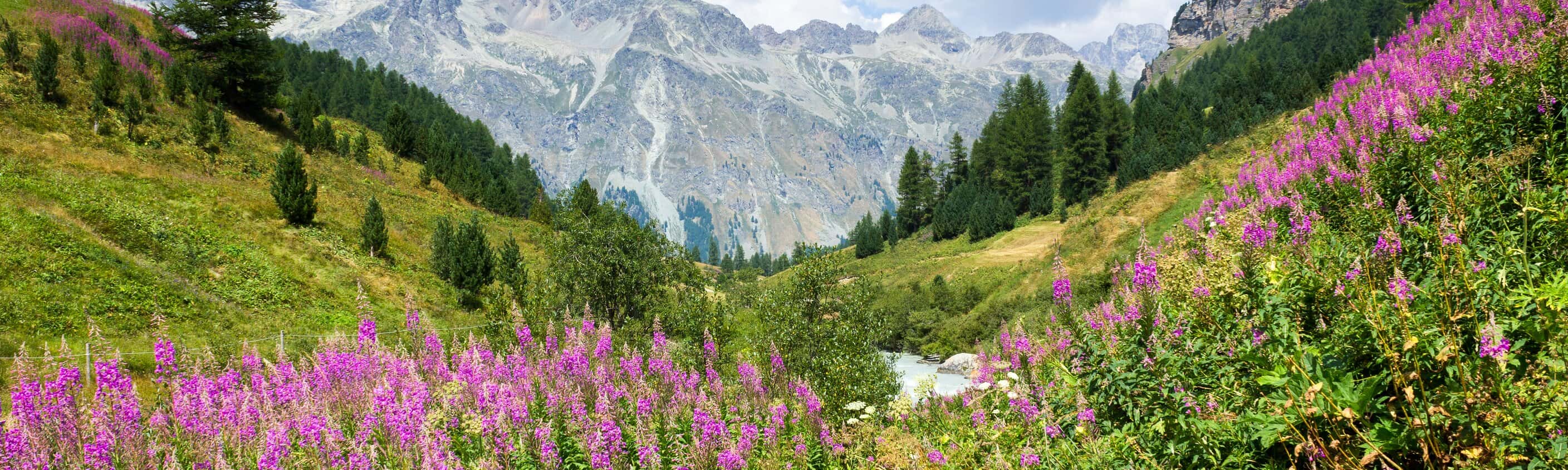 St. Moritz - Innsbruck - 7 Tage Radweg am oberen Inn