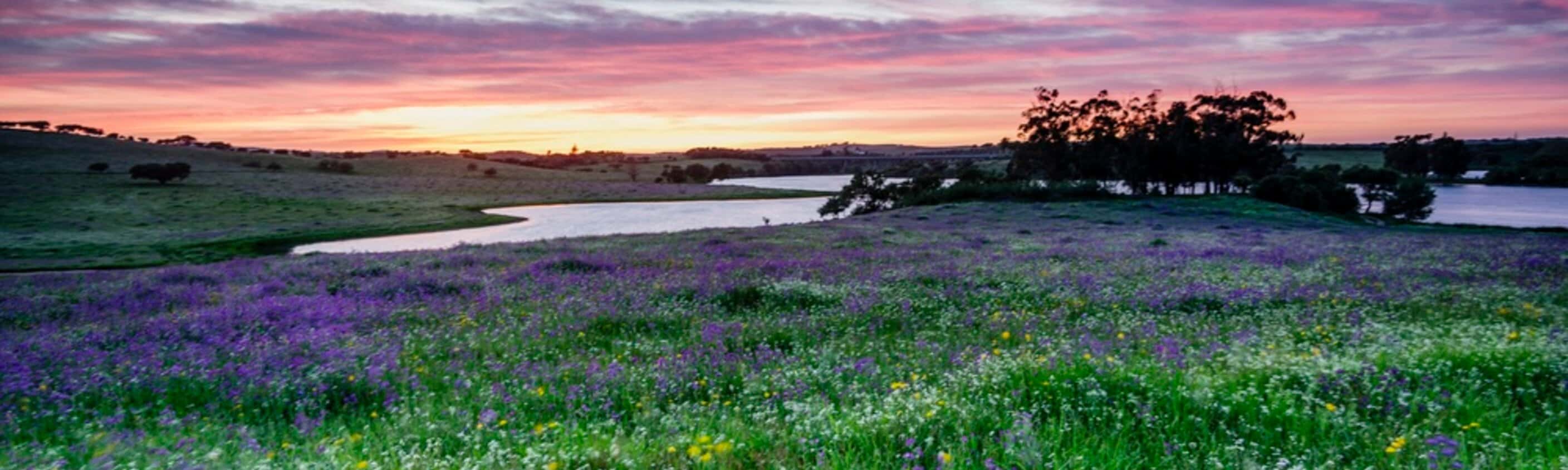 Wanderparadies Alentejo: Standortwanderreise 5 Tage