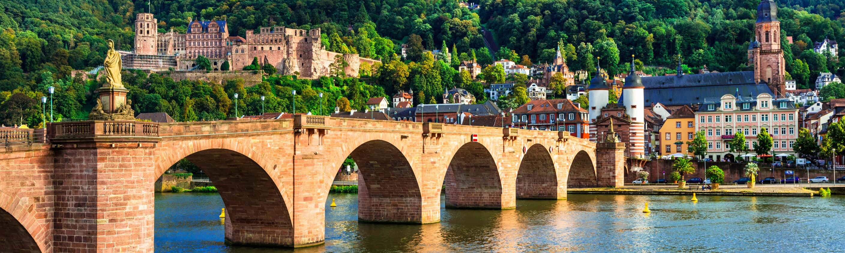 Winzertour am Rhein - Durch Weinreben zu den Kaiserdomen