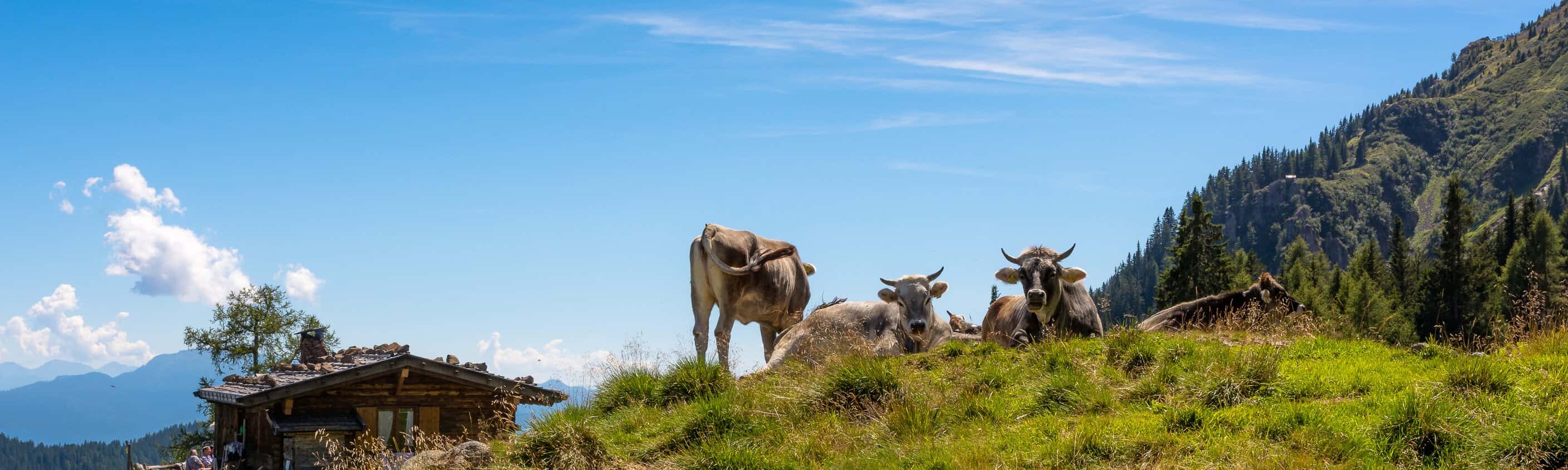Meran gemütlich erwandern - Natur, Genuss & Wohlfühlmomente