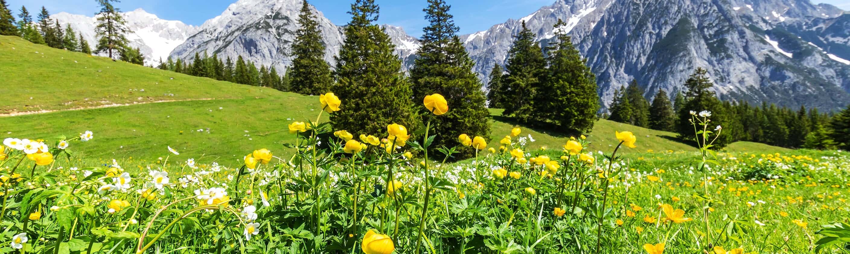 Von Garmisch nach Meran - Alpenüberquerung light