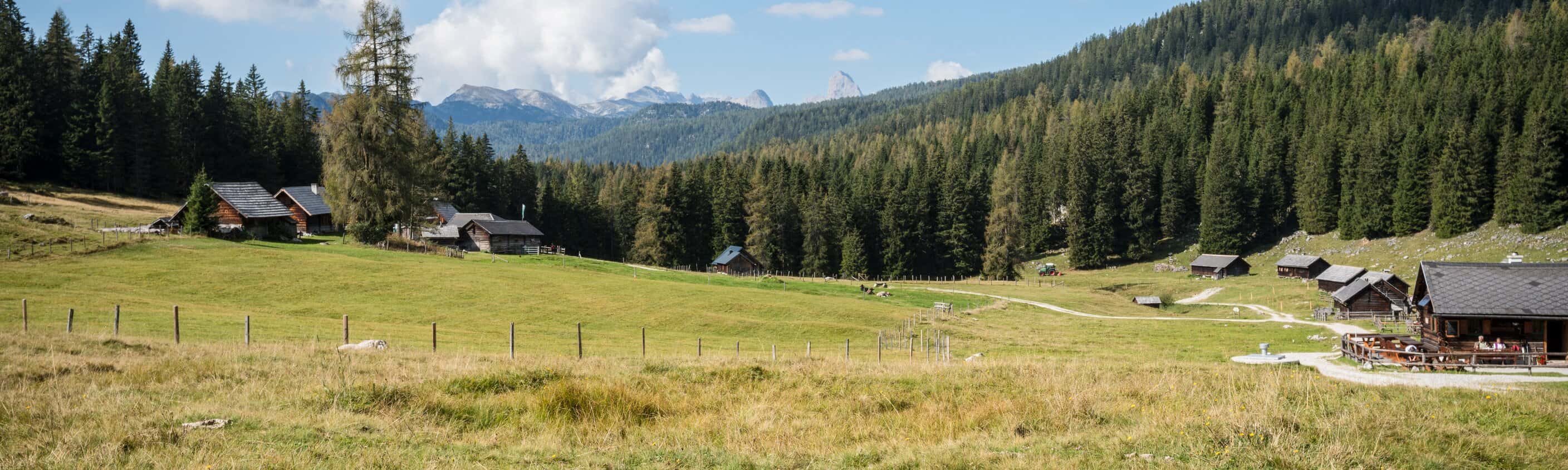 Viehbergalm | © Coen Weesjes