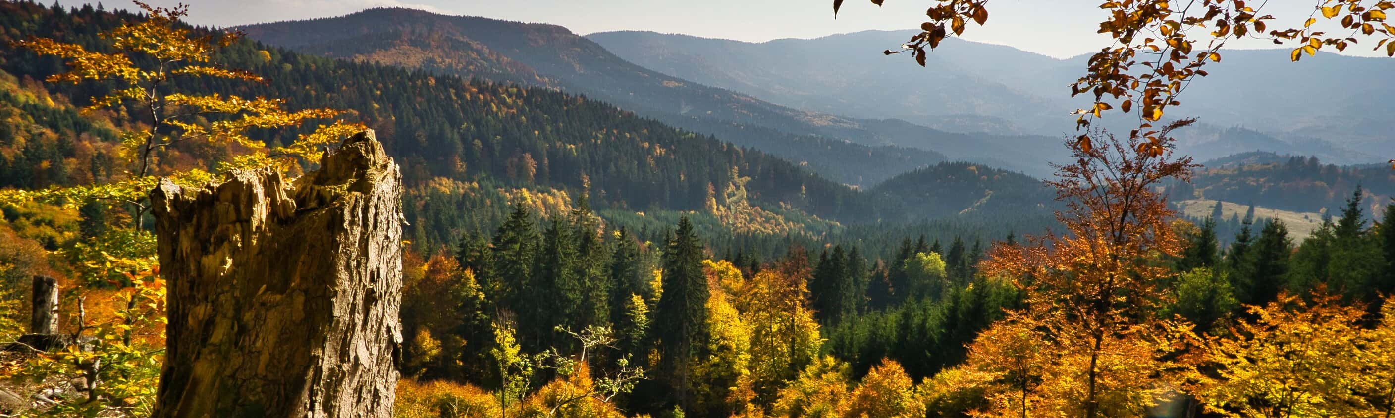 Wanderwoche durch das Reich der Bären | © ASI Reisen