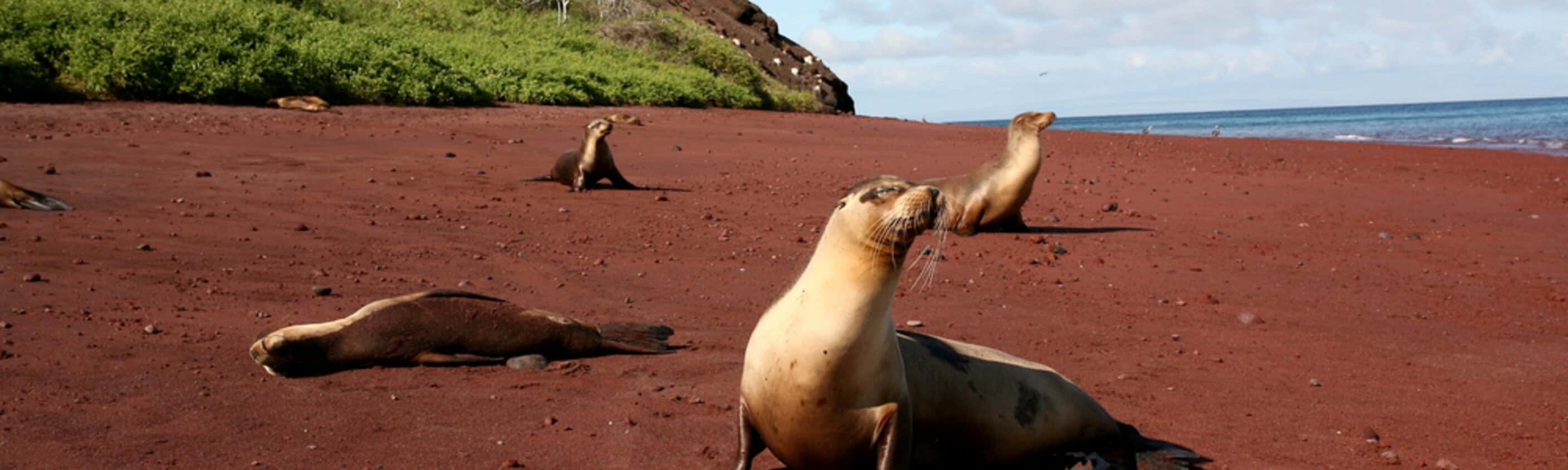 Galapagos Inseln | © ASI Reisen