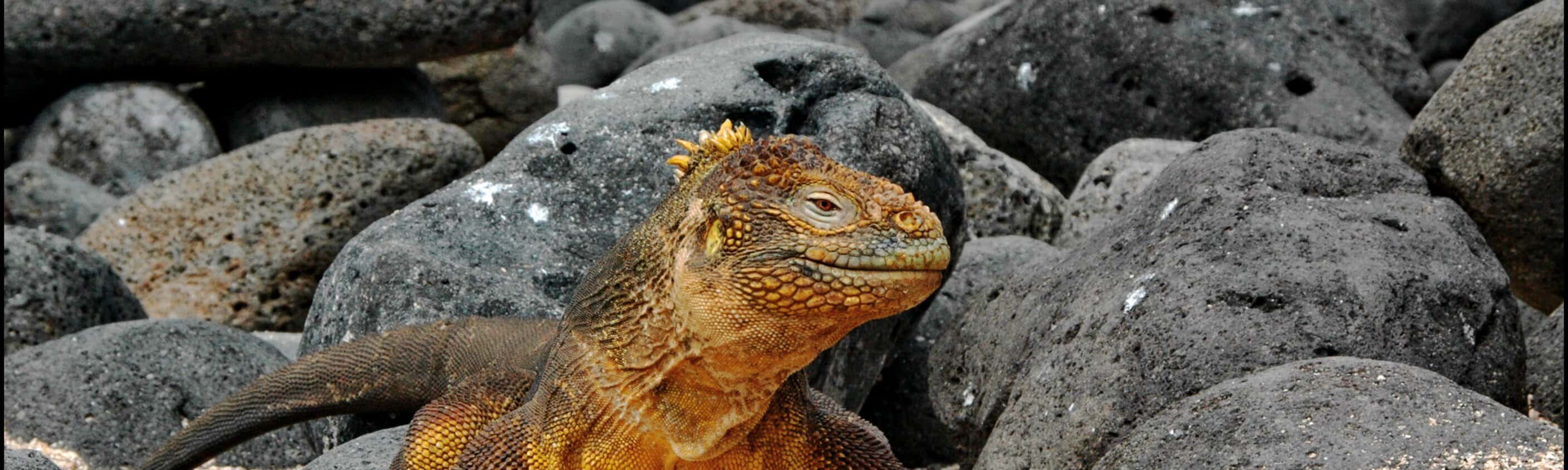 Galapagos Inseln | © ASI Reisen