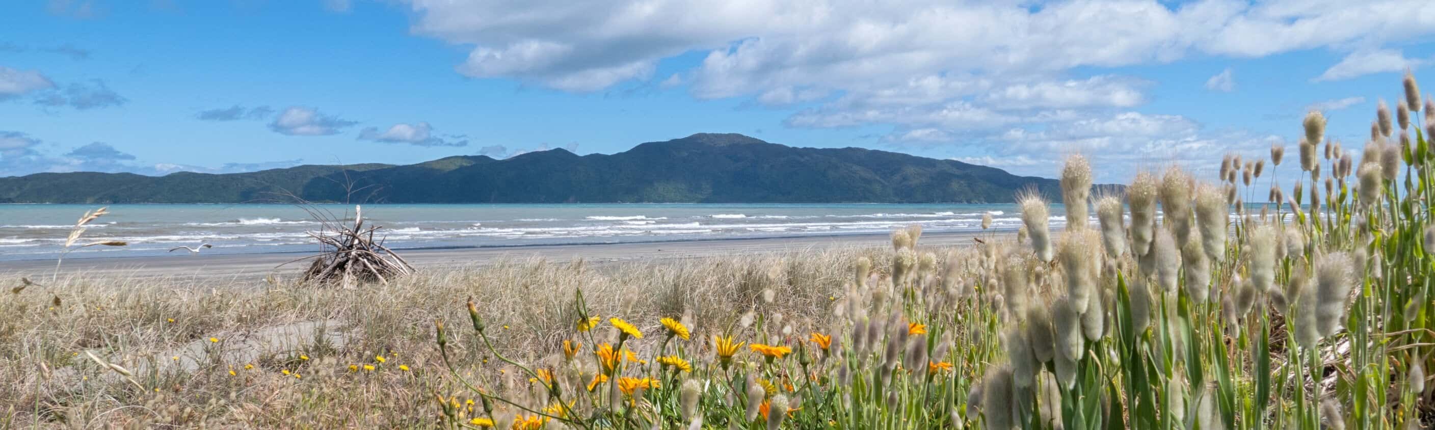 Kapiti Island Neuseeland | © ASI Reisen