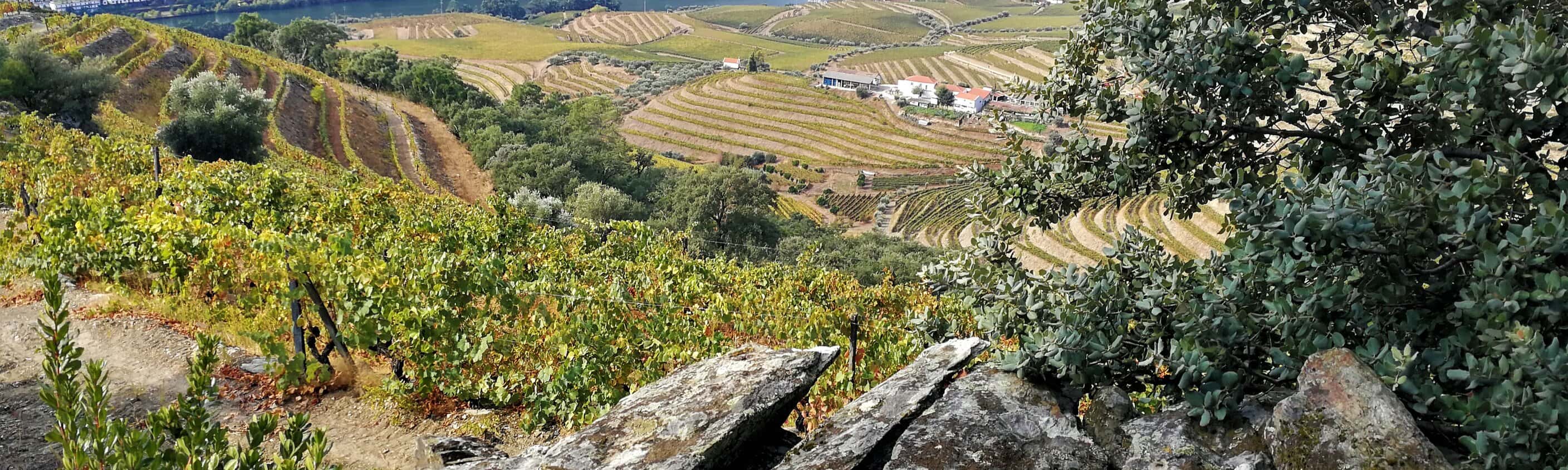 Douro Tal | © ASI Reisen