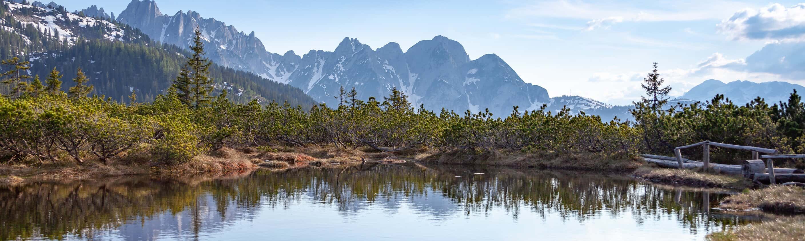 Löckenmoss Gosau | © Shutterstock