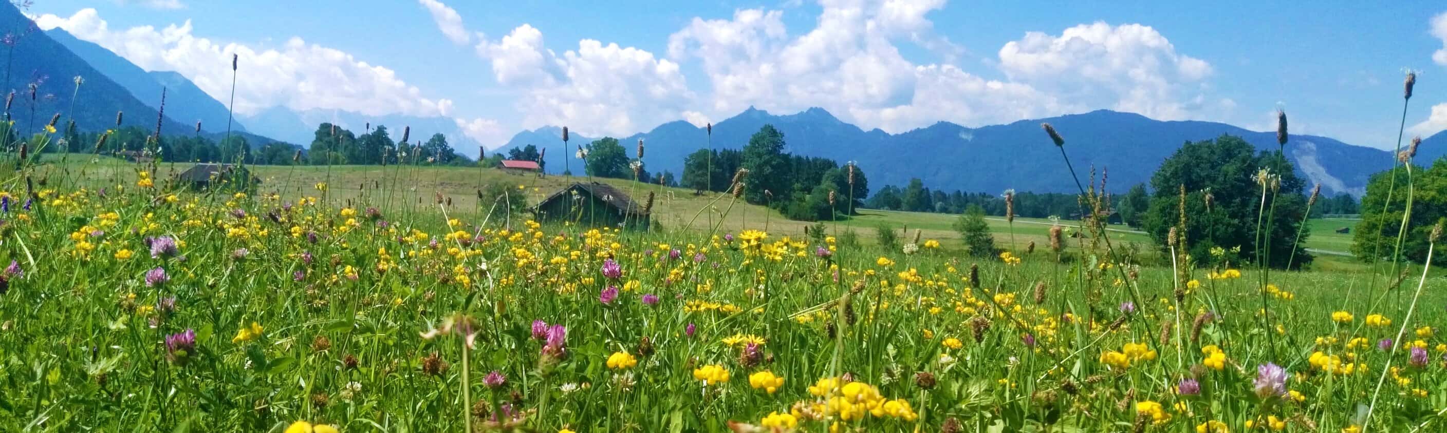 Landschaft im Bayerischen Alpenvorland | © ASI Reisen