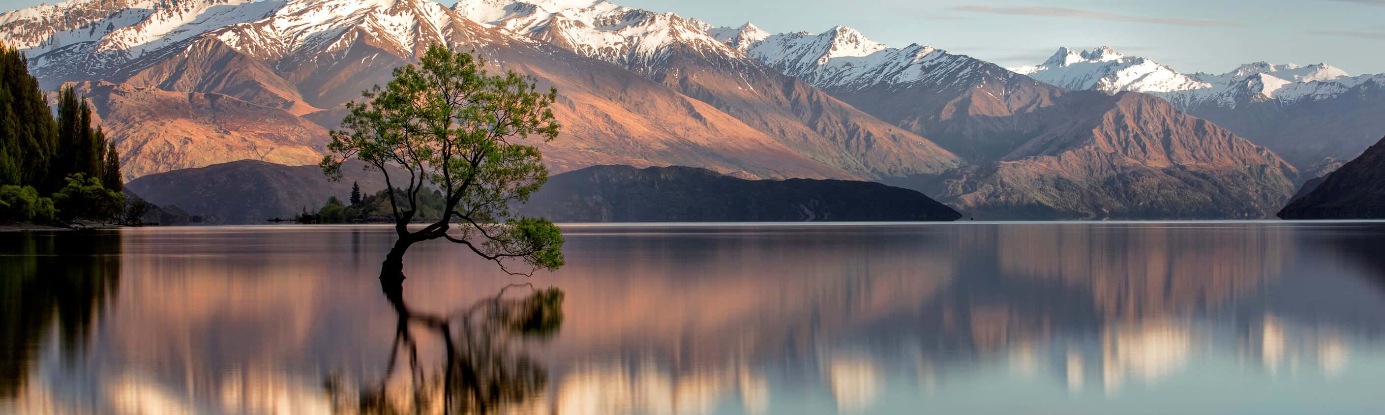 Wanaka-Baum in Wanaka, Neuseeland | © Shutterstock