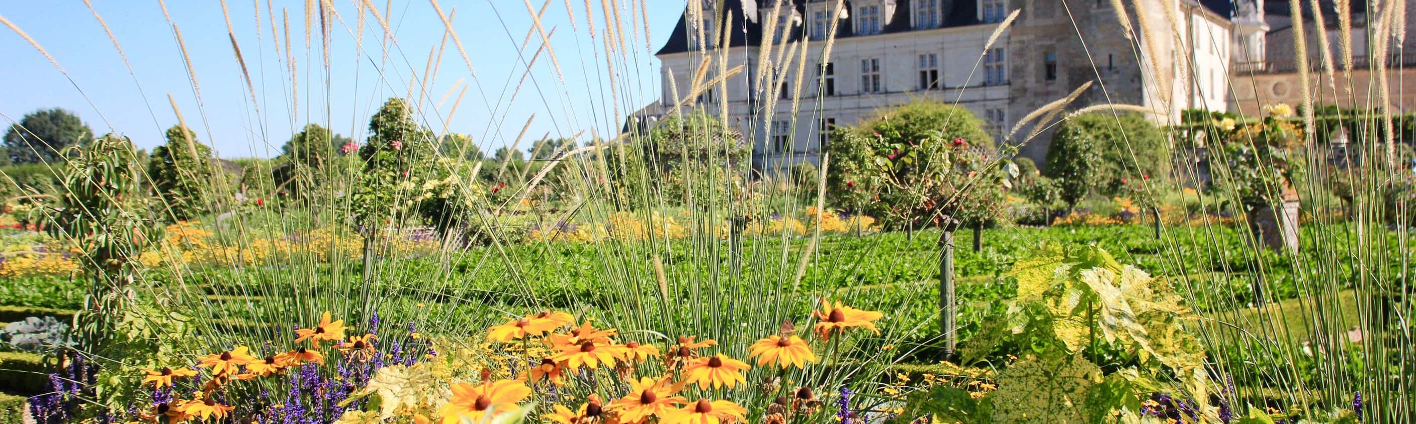 Radeln Loire | © ASI Reisen