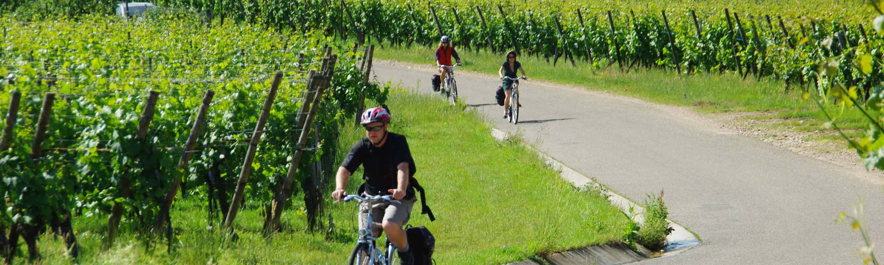Radfahren Elsass | © ASI Reisen