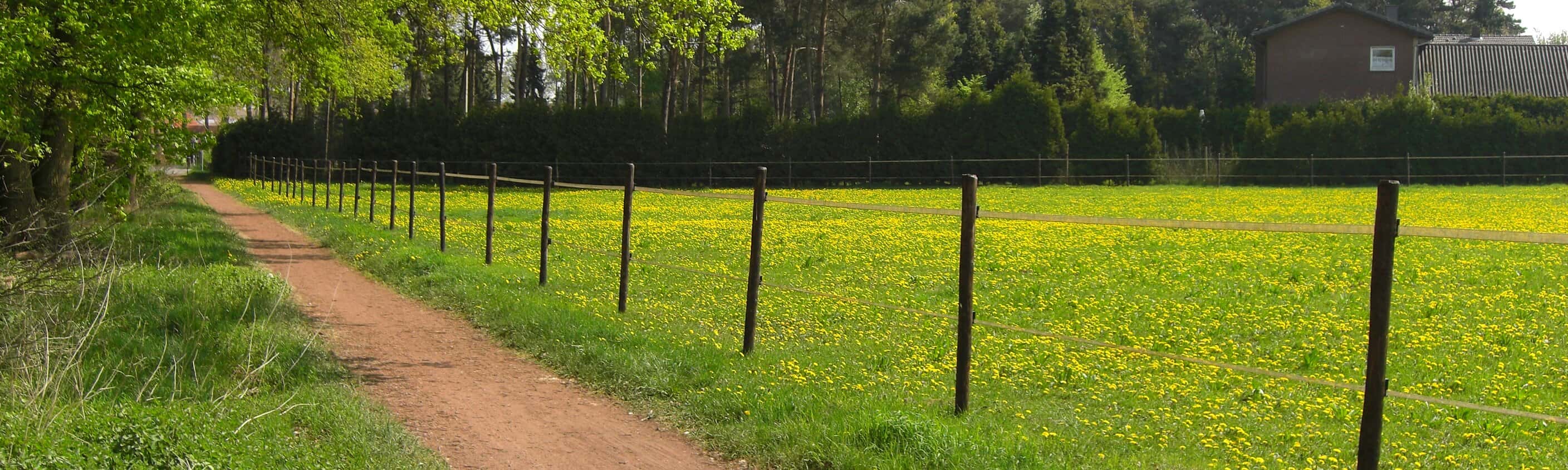Münsterland | © ASI Reisen