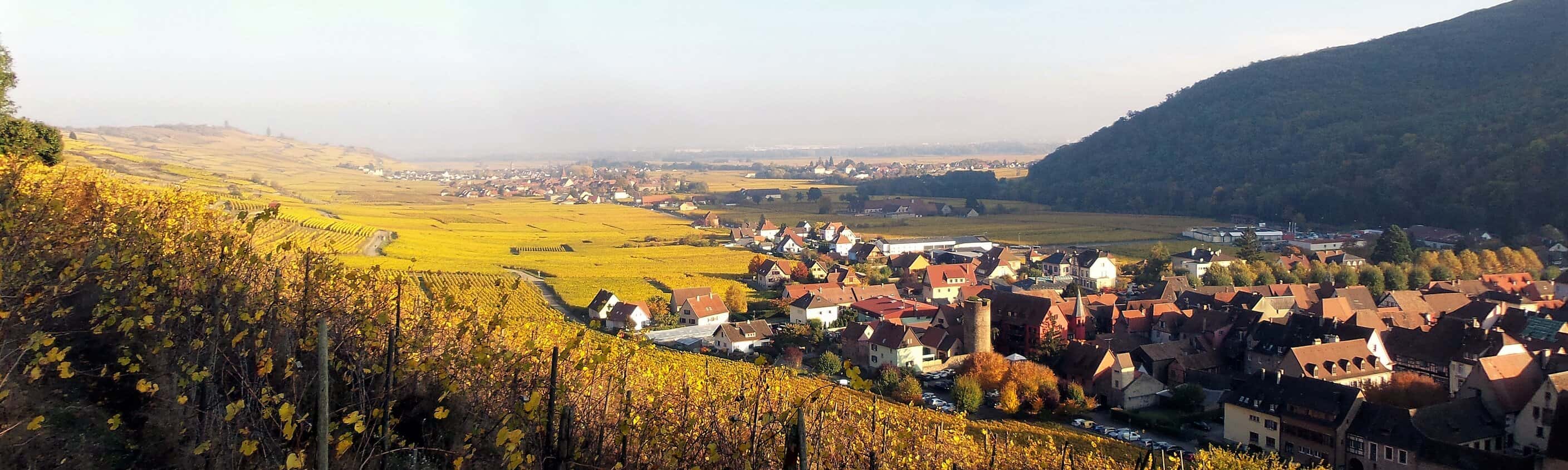 Kaysersberg Elsass | © ASI Reisen