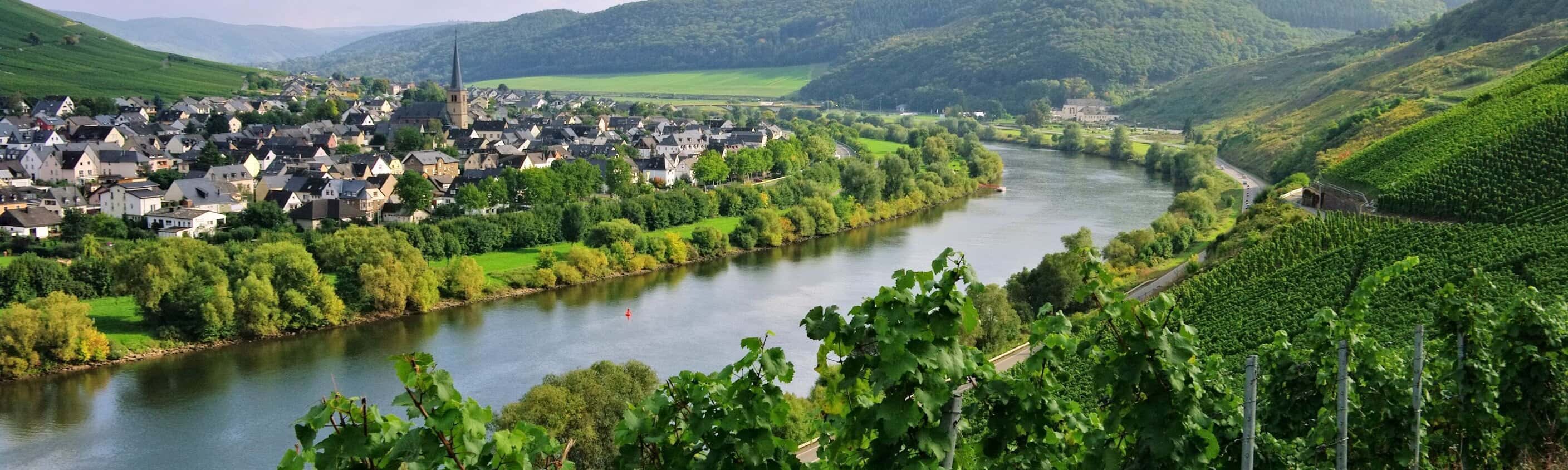 Zeltingen-Rachtig an der Mosel | © Shutterstock