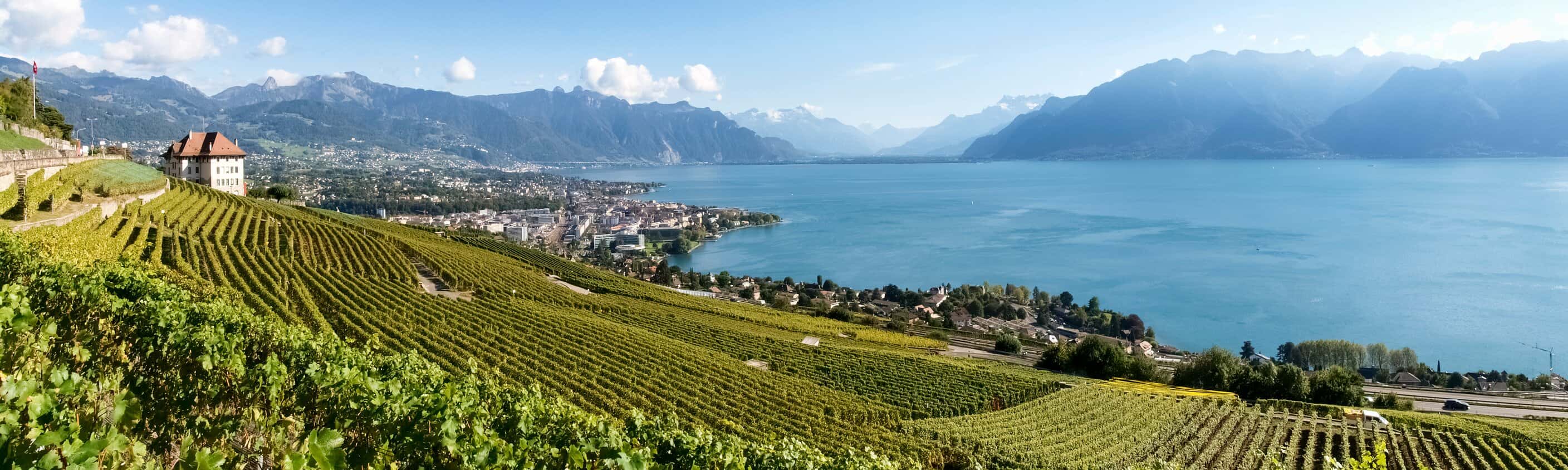 Weinberge bei Lavaux am Genfer See | © Shutterstock
