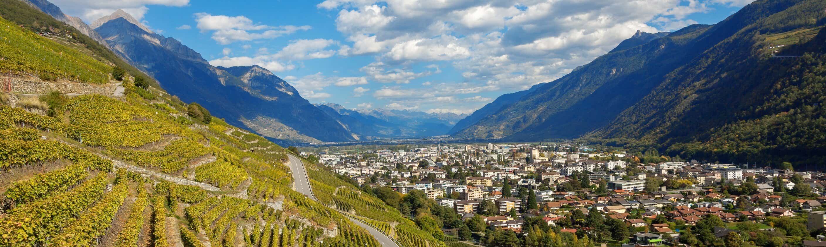 Blick auf Weinterrassen bei Martigny im Wallis | © Shutterstock