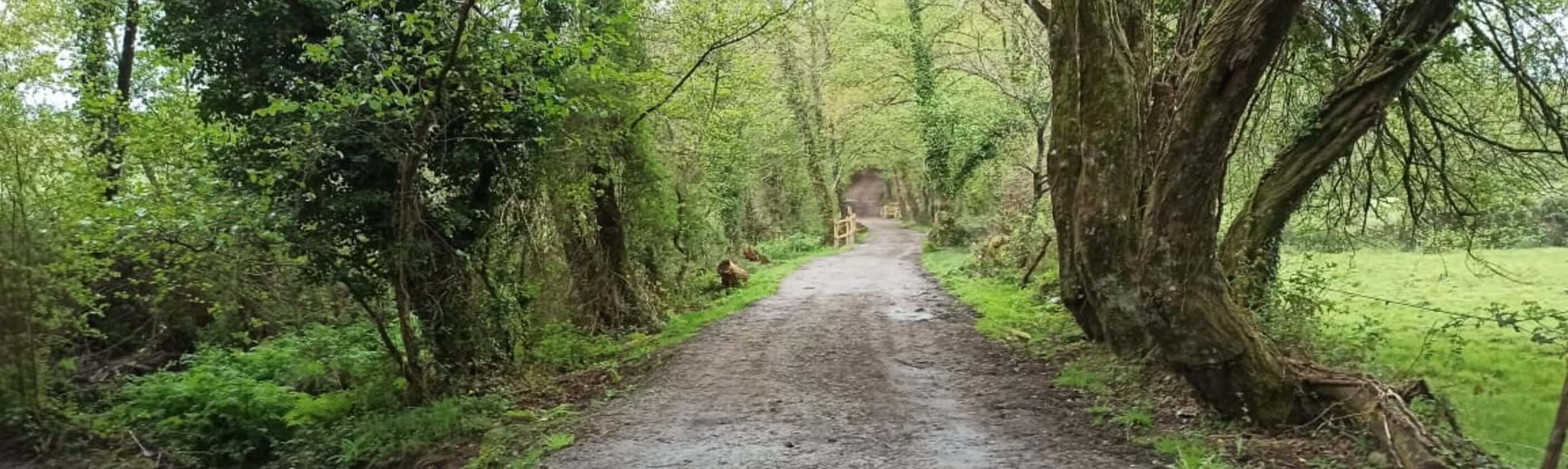 Französischer Jakobsweg von Sarria nach Santiago de Compostela mit Melide