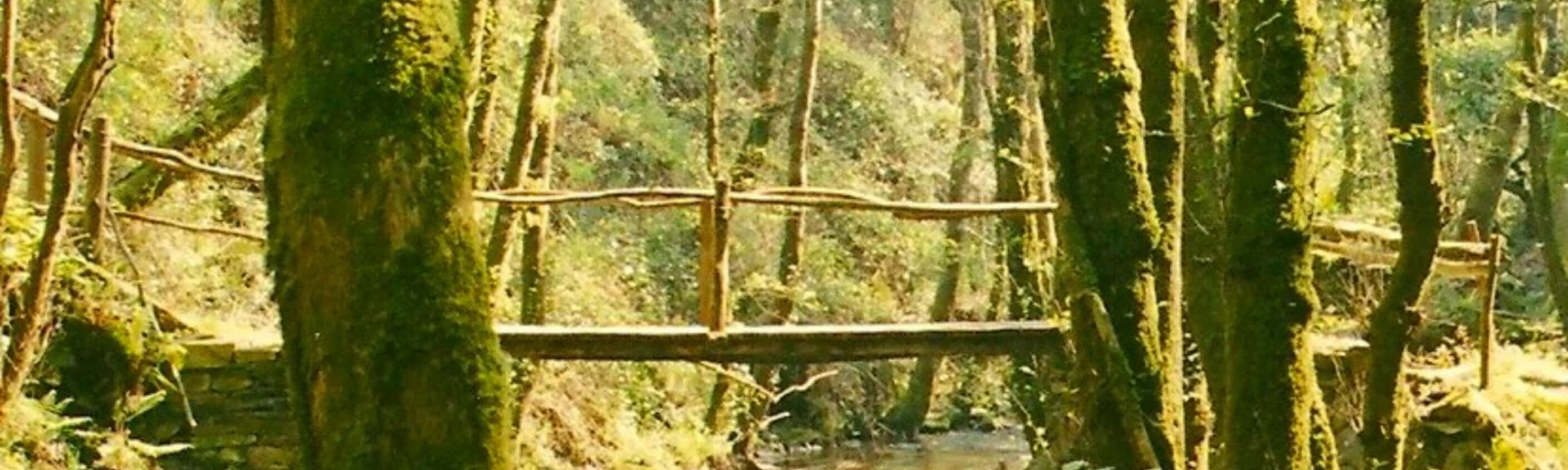 Portugiesischer Jakobsweg von Baiona nach Santiago