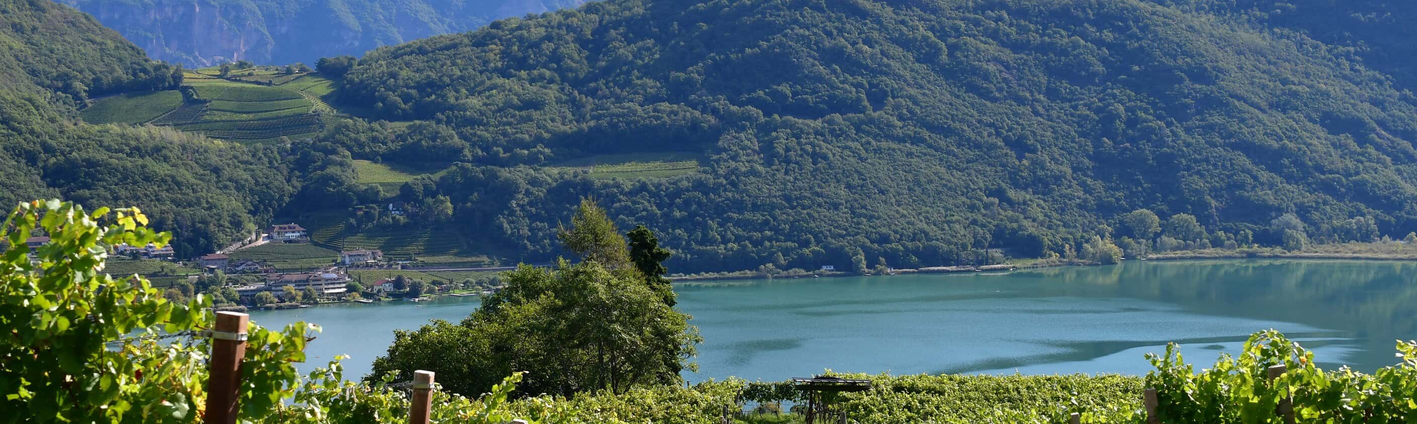 Kalterer See Südtirol | © Shutterstock