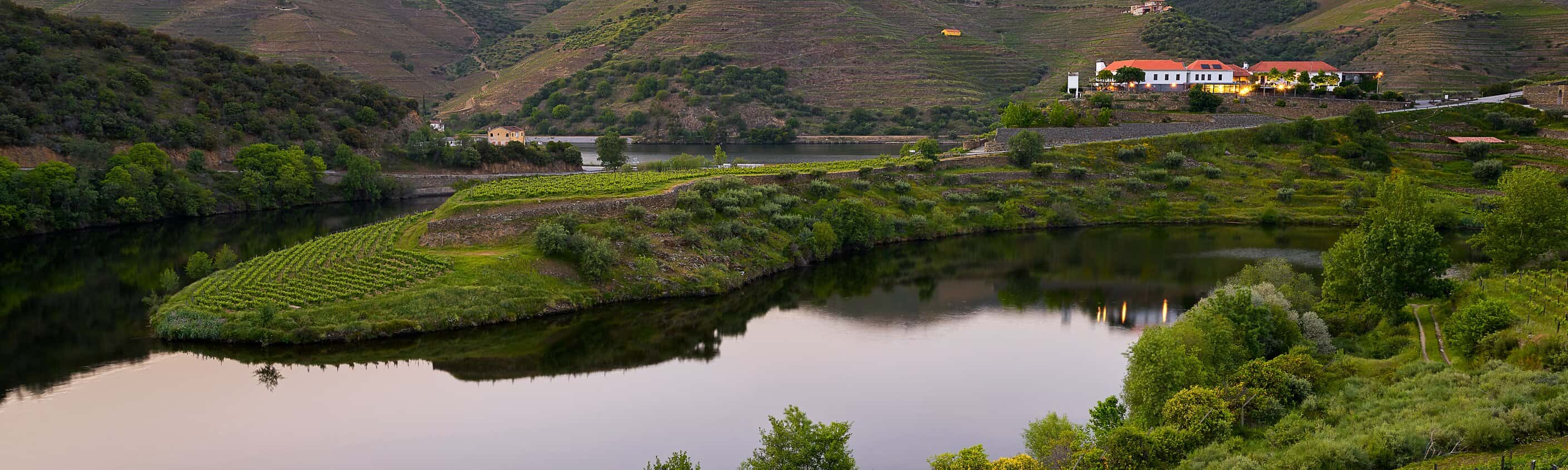 Douro Flussbiegung bei Quinta do Tedo | © Shutterstock