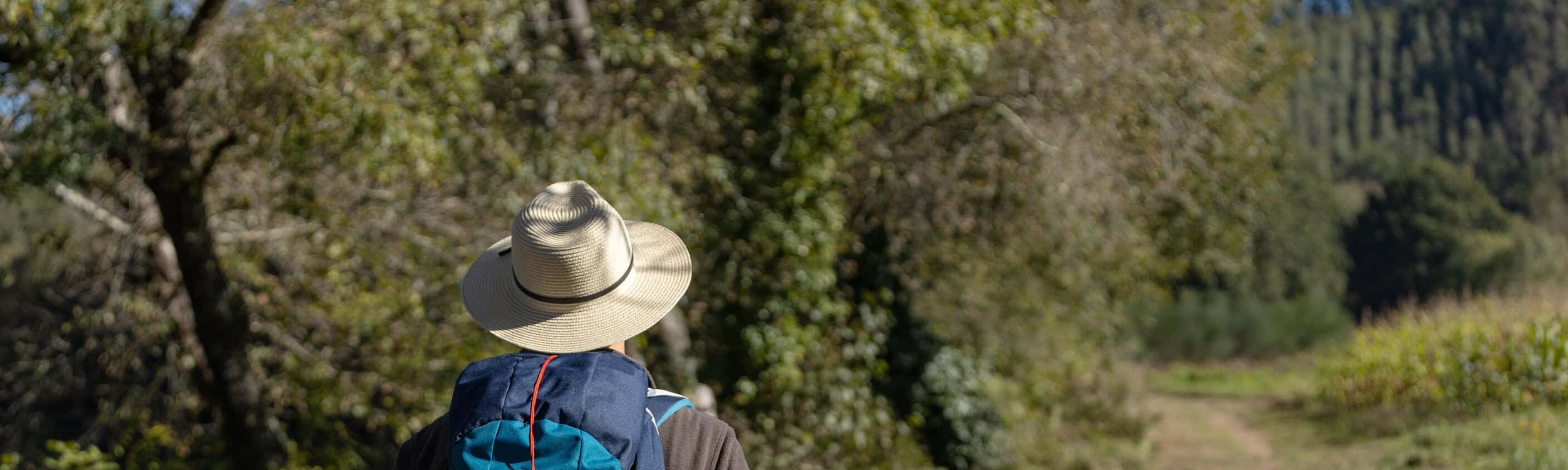 Pilgerer auf dem Camino de Santiago | © Shutterstock