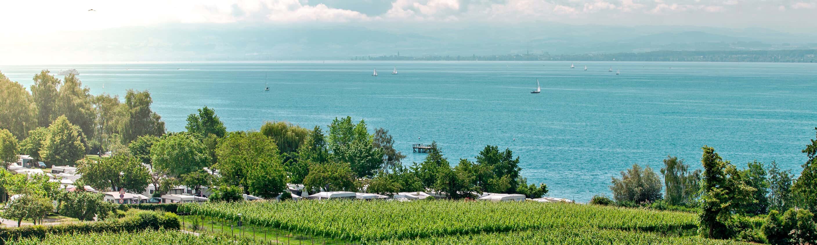 Radfahrer in einer Obstplantage am Bodensee | © Shutterstock