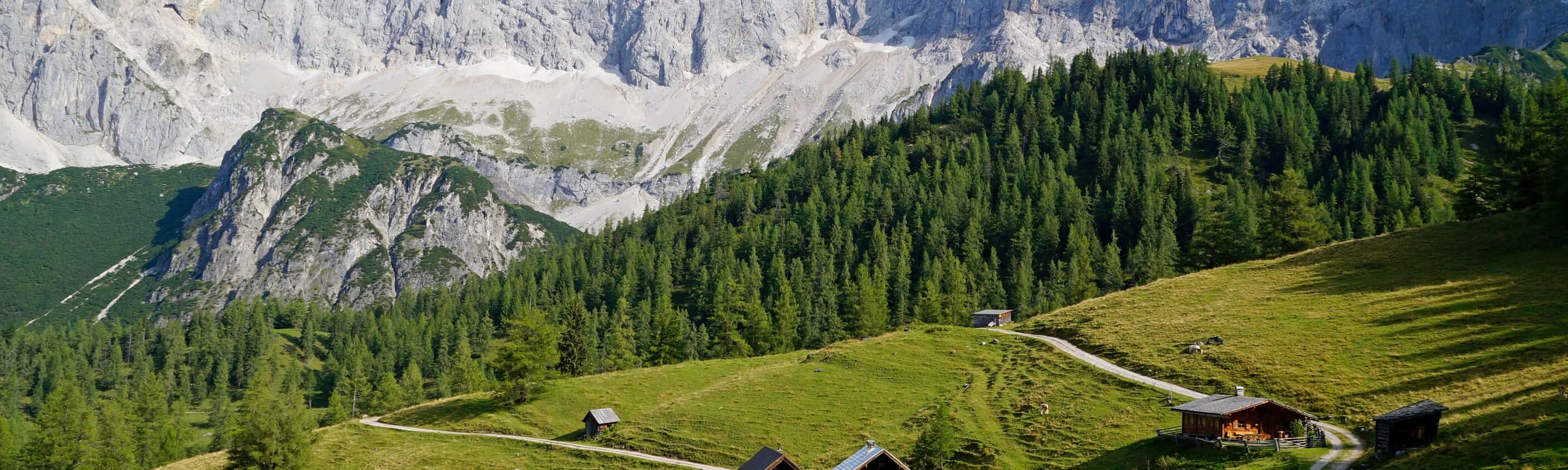 ein schönes Alpendorf in den österreichischen Alpen der Dachsteinregion | © Shutterstock