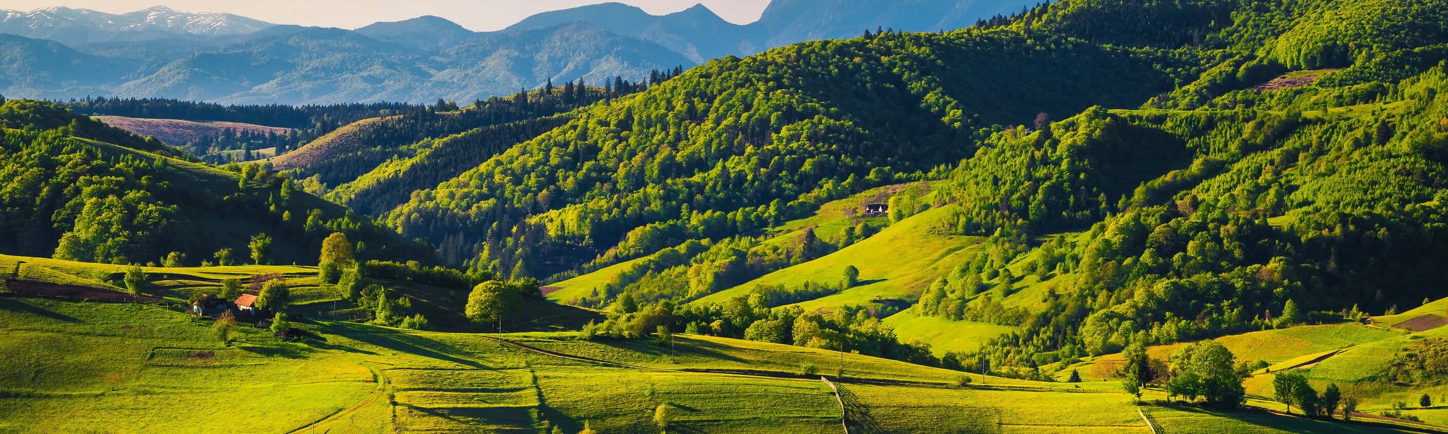 Atemberaubende Landschaft im Frühling mit grünen Feldern auf Hügeln und hohen schneebedeckten Bergen im Hintergrund, Dorf Holbav, Siebenbürgen, Rumänien, Europa | © Shutterstock