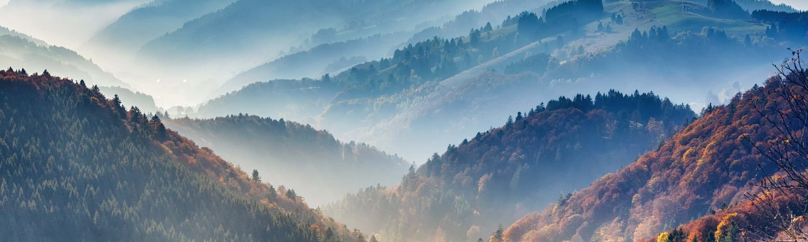 Bezaubernder Hochschwarzwald - Zwischen Schluchsee und Feldberg