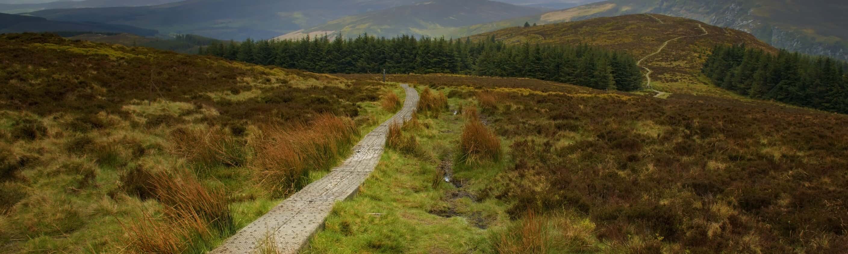 Wicklow way | © Shutterstock