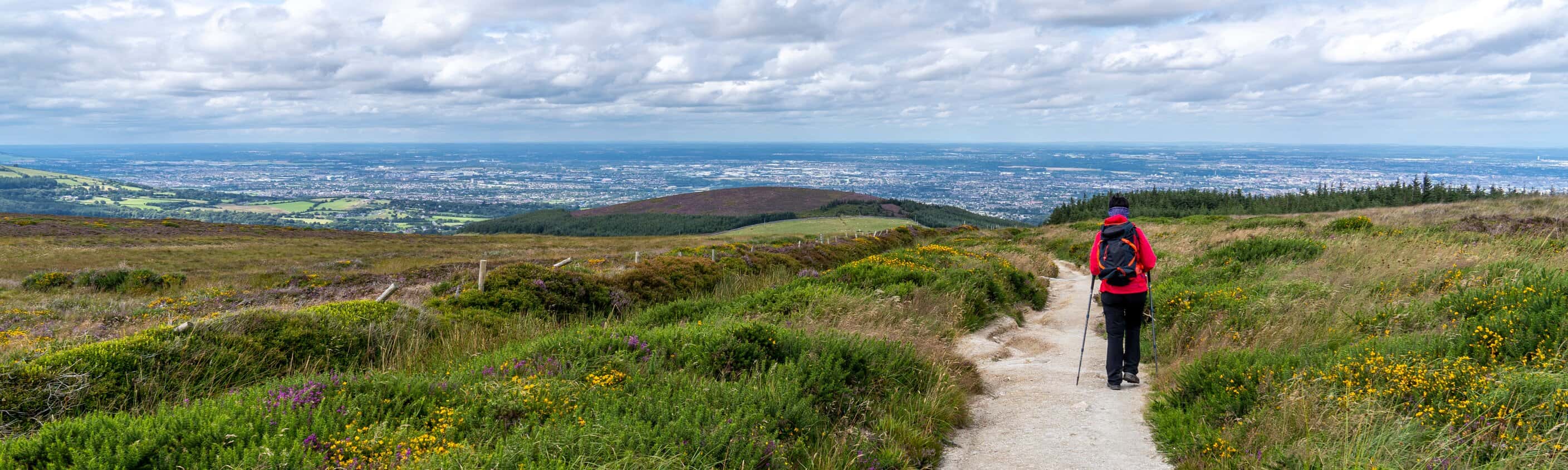 Landschaft von Wicklow Weg | © Shutterstock
