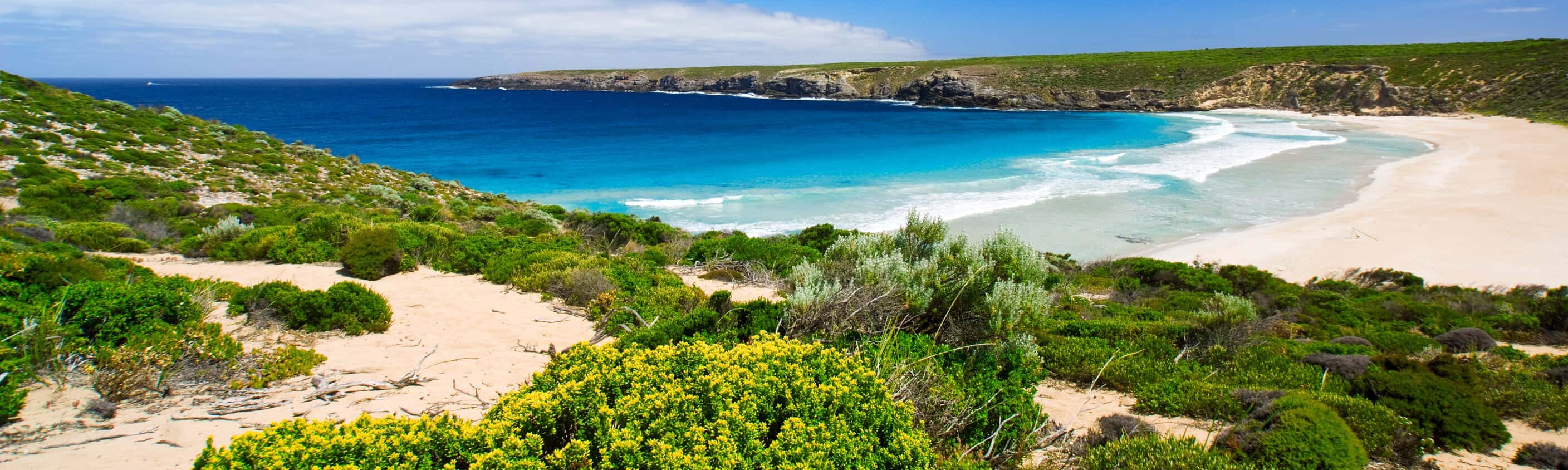 West Bay auf der Insel Kangaroo | © Shutterstock