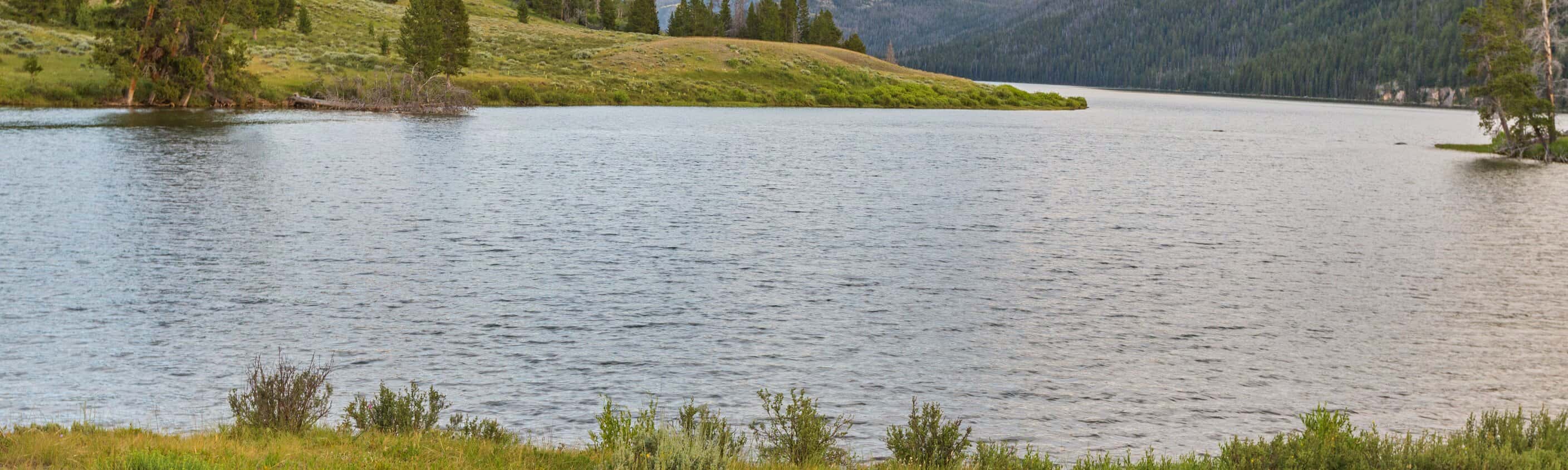 Wind River Wildnis | © Shutterstock