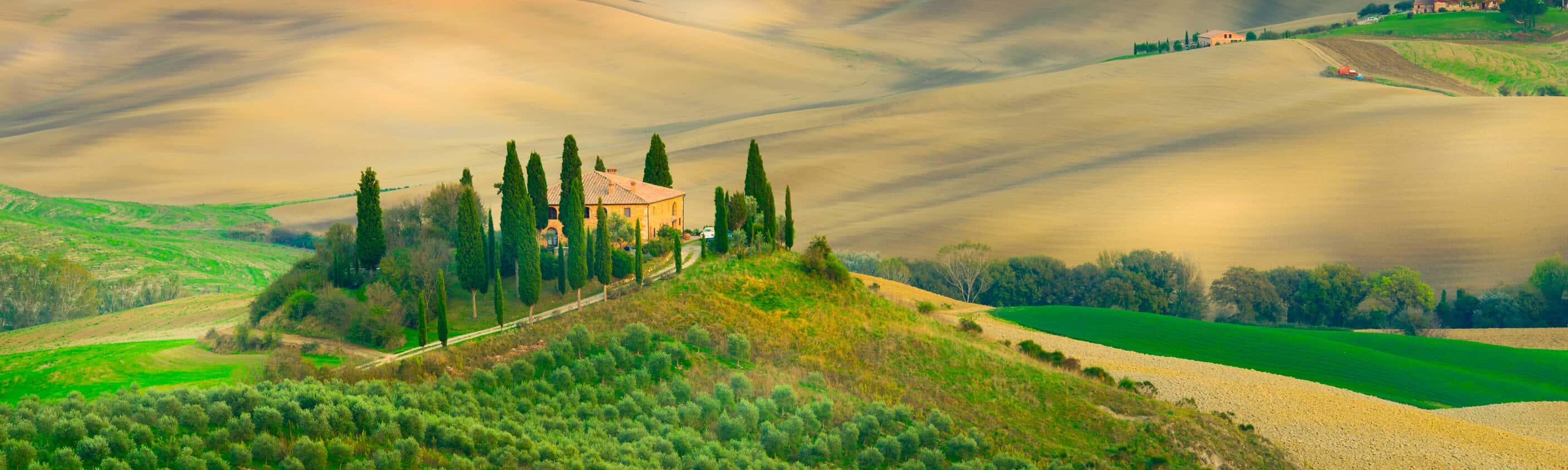 Hügel der Toskana - Val d Orcia - Montepulciano nach Siena