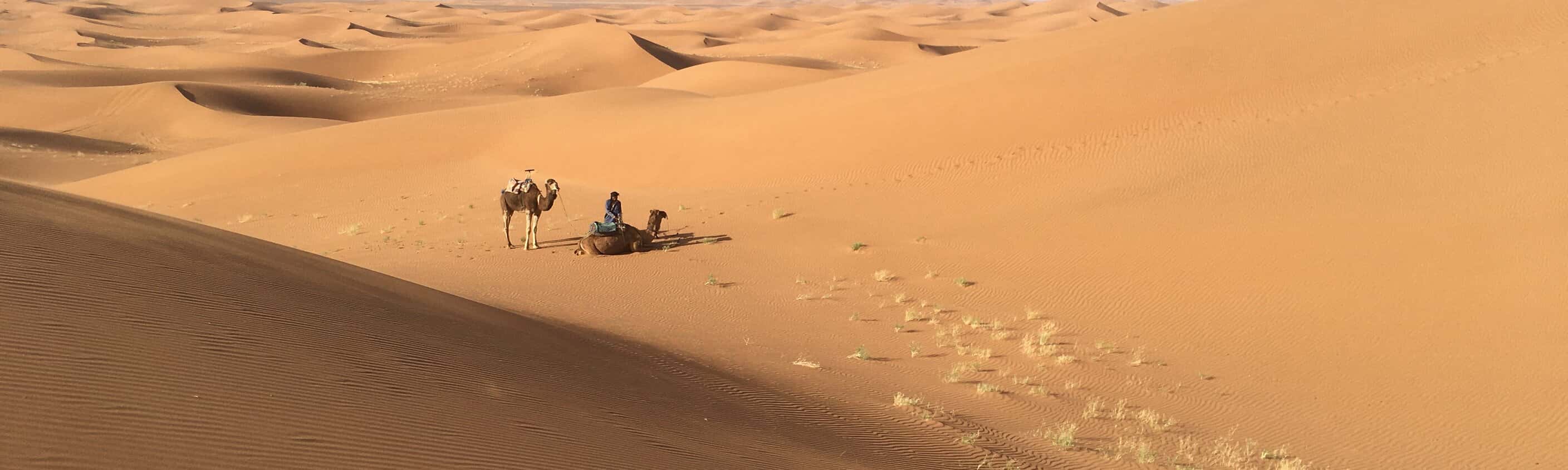 Wüste Marokko | © ASI Reisen