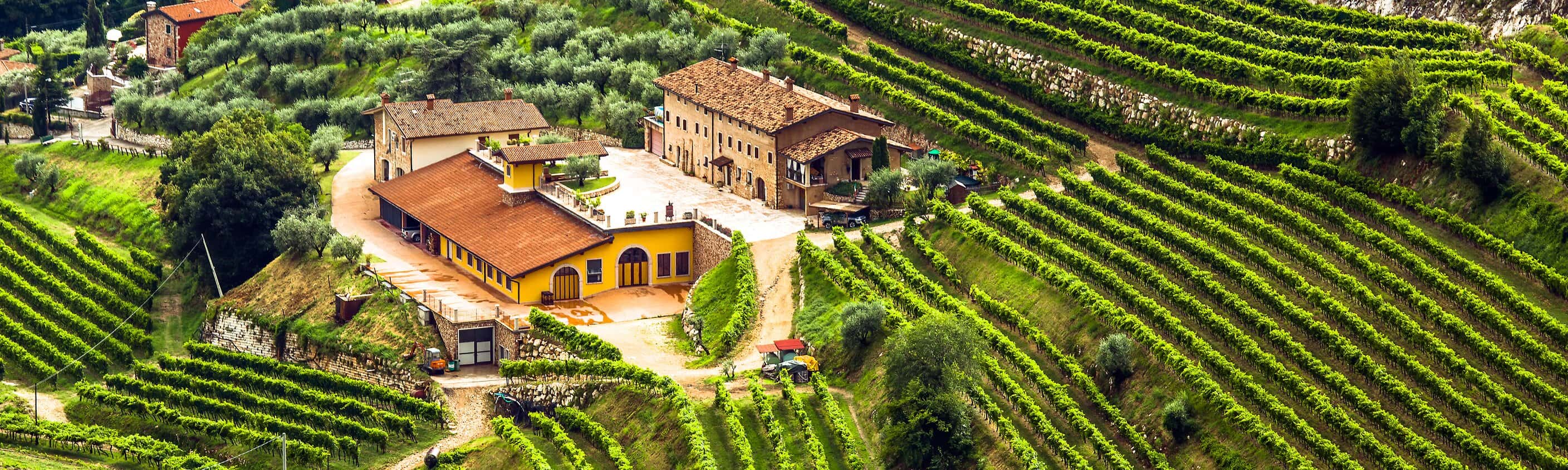 Valpolicella Veneto | © Shutterstock