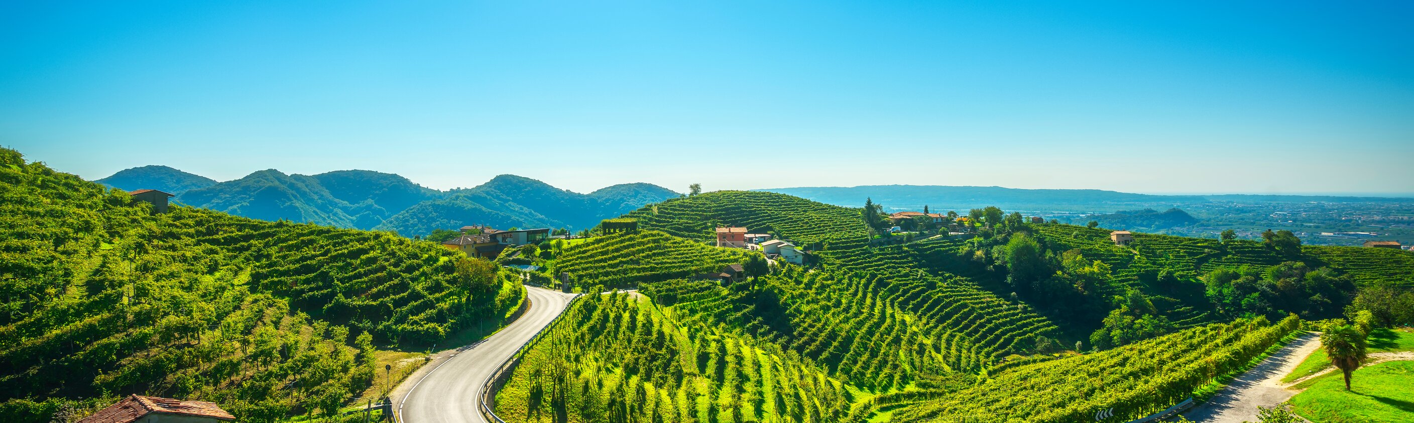 Wanderwoche in den Prosecco-Hügeln