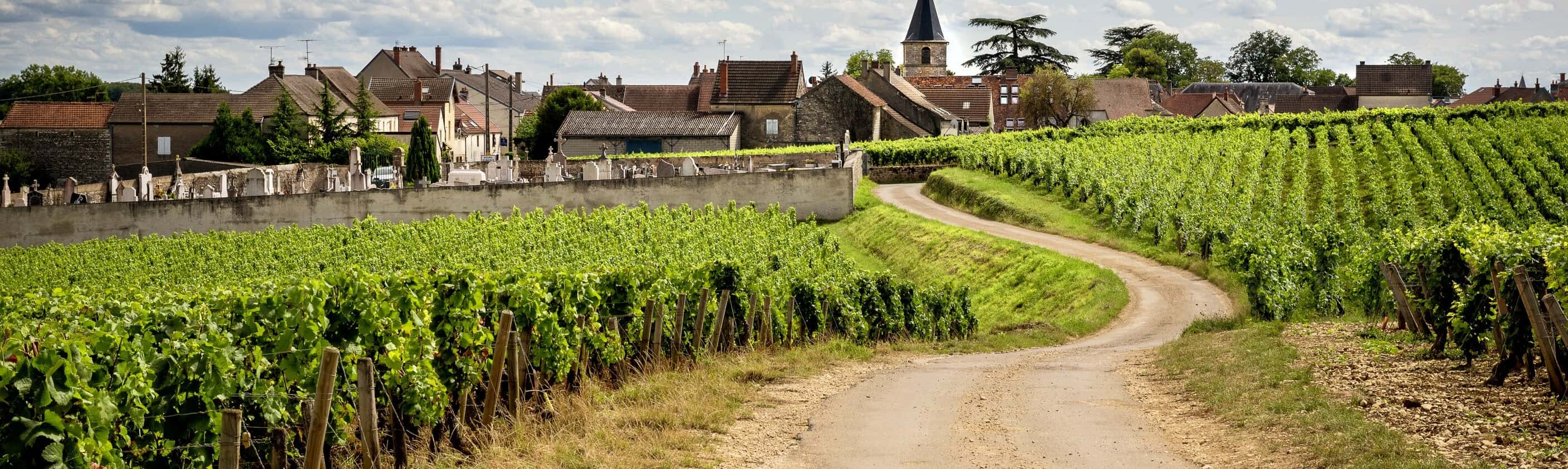 Straße zum Weindorf Vosne Romanneé, Burgund | © Shutterstock