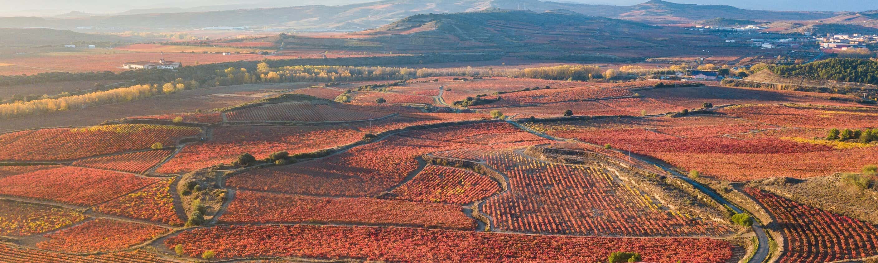 Luftbild der Weinberge von la Rioja | © Shutterstock