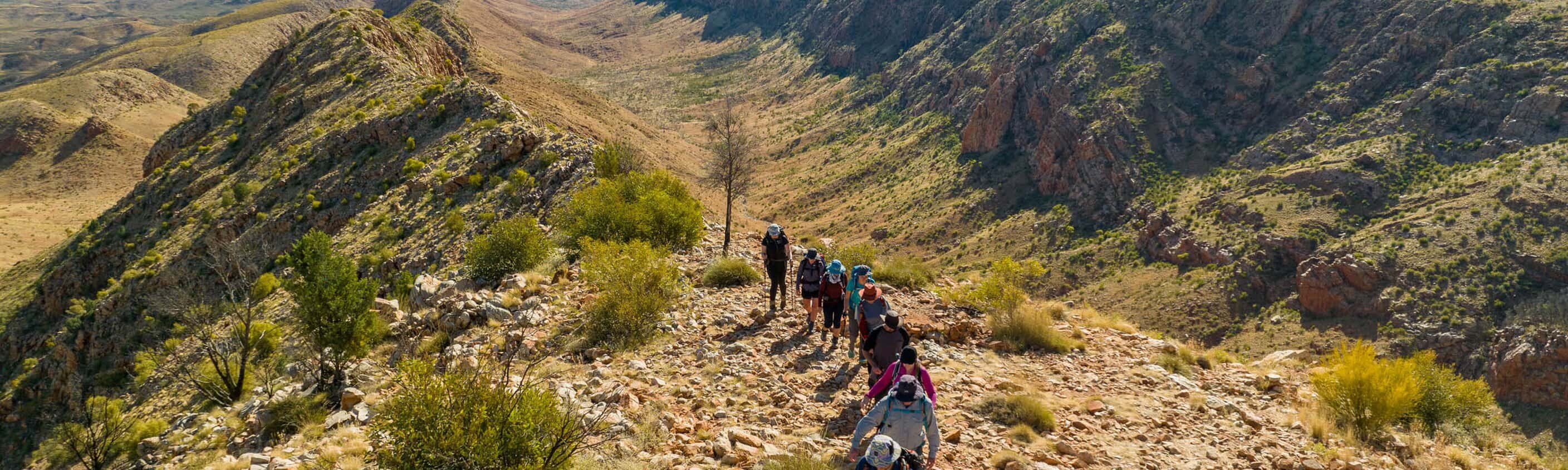 Wanderer entlang des Larapinta Treks | © ASI Reissen