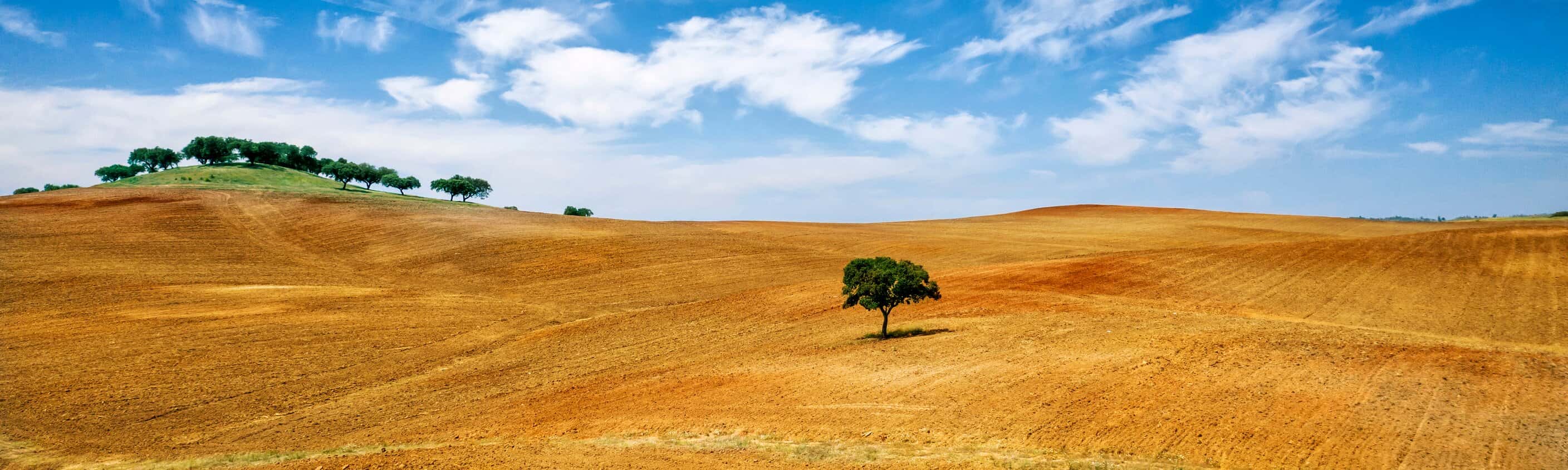 Radtour durch Alentejo-Weinberge und Alqueva-See