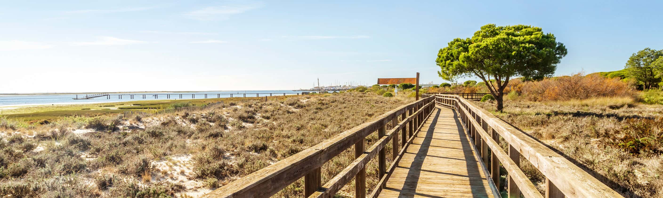 Holzsteg in Ria Formosa | © Shutterstock
